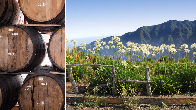 Smag på vinen fra Madeira i Portugal